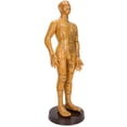 thumbnail image 3 of Modelo De Acupuntura De Cuerpo Humano Inodoro, Modelo De Acupuntura De Cuerpo Práctico, Modelo De Enseñanza De Masaje Para El Hogar ANGGREK Modelo masculino, 3 of 8