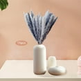 thumbnail image 3 of 15Pcs Artificial Dried Pampas Grass Reed Flowers for Table Photograph Props Gift Gray, 3 of 8