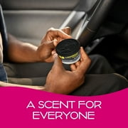 California Scents Can/Hidden Air Freshener (Ice Scent, 1 Pack)