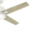 thumbnail image 2 of Casablanca Fans - Axial - 4 Blade Ceiling Fan with Light Kit In Rustic style-14, 2 of 2