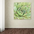 thumbnail image 3 of Trademark Fine Art 'Garden Succulents IV Color' Canvas Art by Laura Marshall, 3 of 3