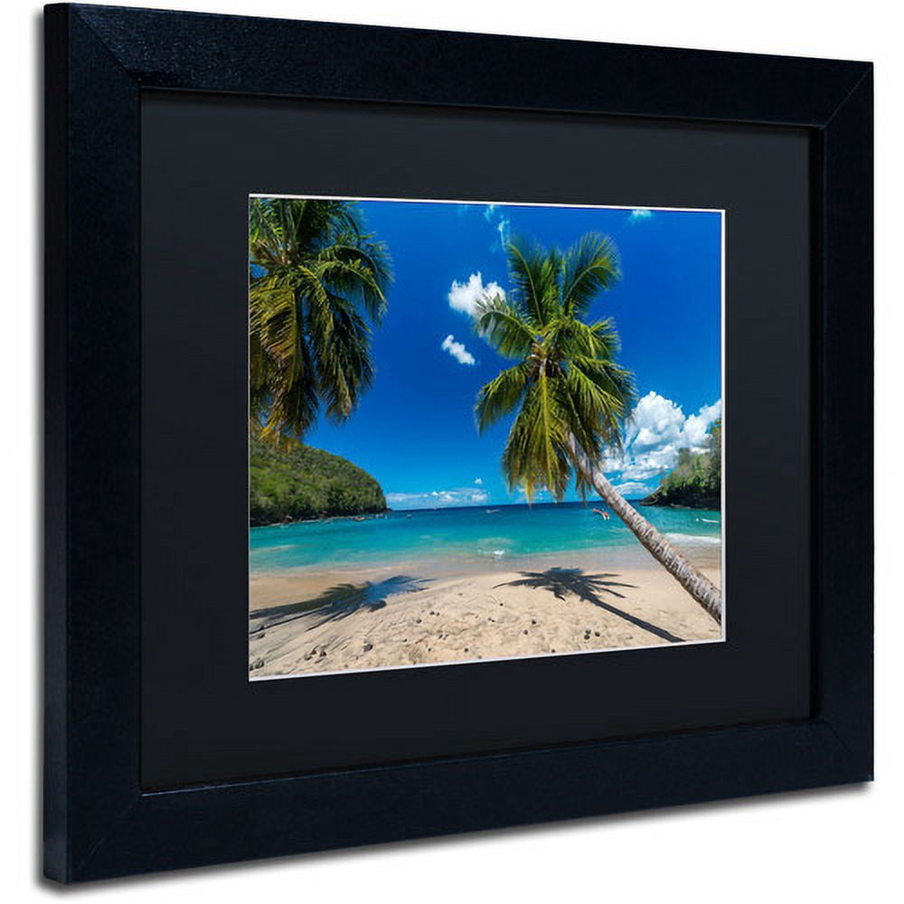 Trademark Fine Art "Martinique" Canvas Art by Mathieu Rivrin, Black Matte, Black Frame
