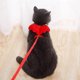 thumbnail image 5 of Adjustable Kitten Harness and Leash - Angel Wings Cat Leash (Red,XS), 5 of 5