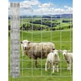 thumbnail image 2 of Accreate Heavy Duty Cattle Farm Fence,  Galvanized Goat Deer Fence, Heavy Zinc Coating Hog Wire Fencing for Farm Livestock Animals Protection, 2 of 5