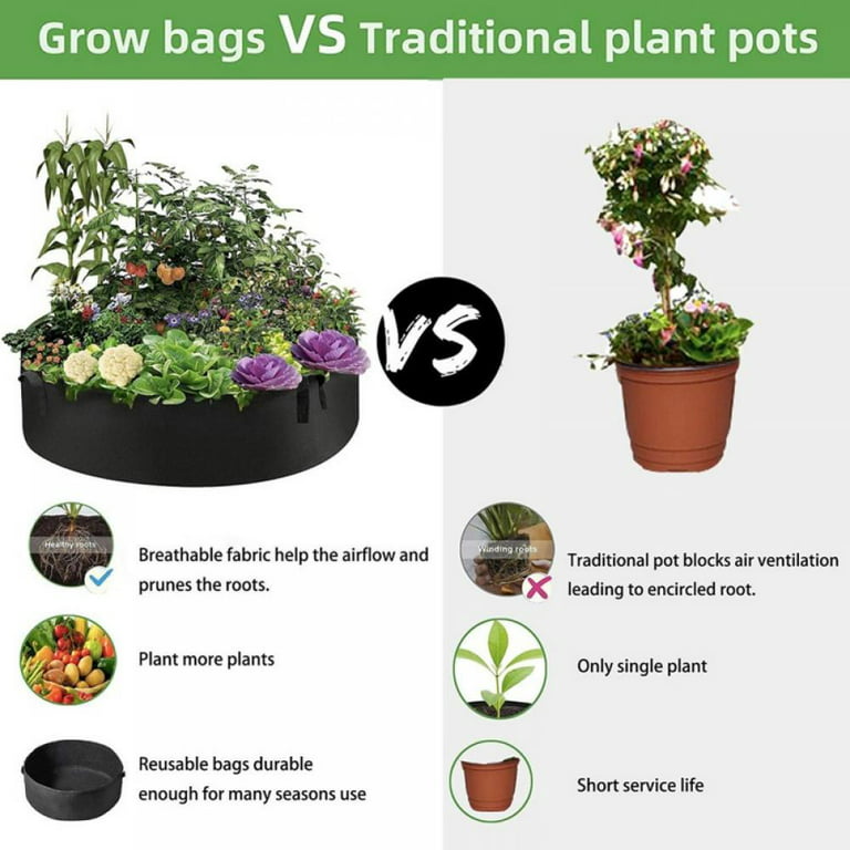 How to Use Garden Grow Bags: 10 Tips