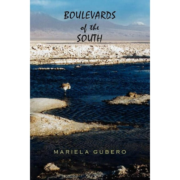 Boulevards of the South (Paperback)