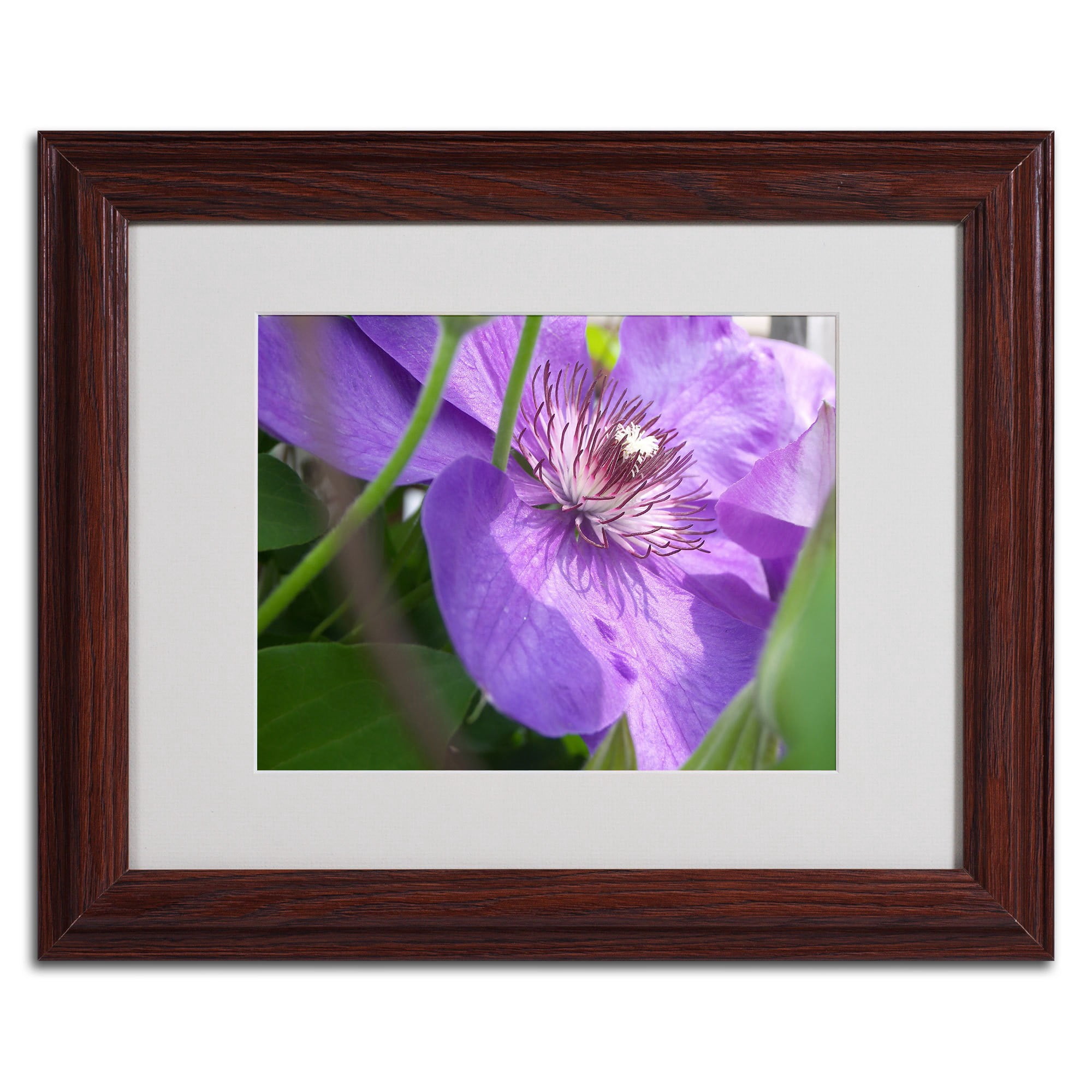 Trademark Fine Art "Meaningful Bliss" Canvas Art by Monica Fleet, White Matte, Black Frame