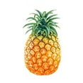 thumbnail image 4 of Pineapple Shape Cute Cake Cookie Mold Cake Decorating Fondant Cutter Baking Tool, 4 of 6