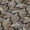 Black, variant on Addison Rugs Chantille Indoor/Outdoor Transitional Botanical Black Machine Washable Rectangle Rug, 10' x 14'