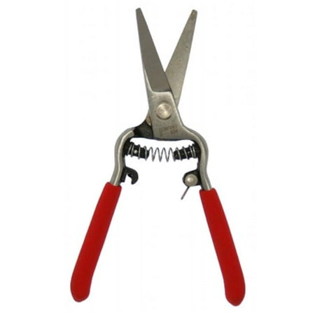 Zenport Z270-10PK Needle nose Shear Bonsai & Orchids Mini 6 in, Box of 10