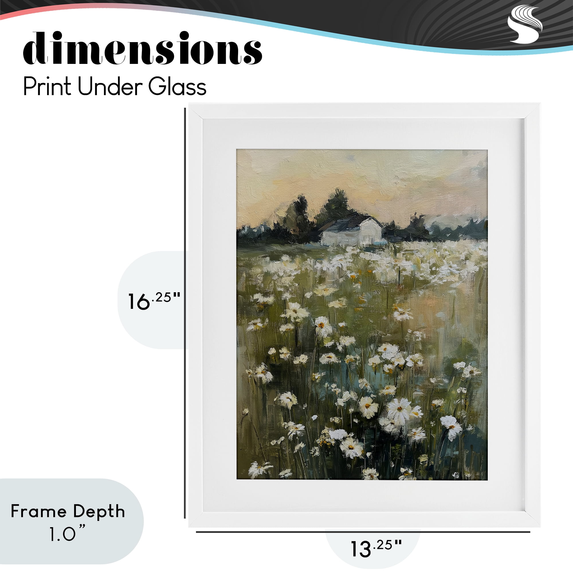 Stupell Industries Expressive Endless Daisies White Framed Print Under Glass, design by Svetlana Aleynikova