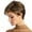 Multicolor, variant on Eqslft Women's Short Layered Pixie Wig with Blonde Highlights, Natural Synthetic Fiber Hair, Heat Resistant, Lightweight Comfortable Cap
