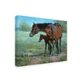 thumbnail image 2 of Trademark Fine Art 'Watchful Eye' Canvas Art by Jack Sorenson, 2 of 4
