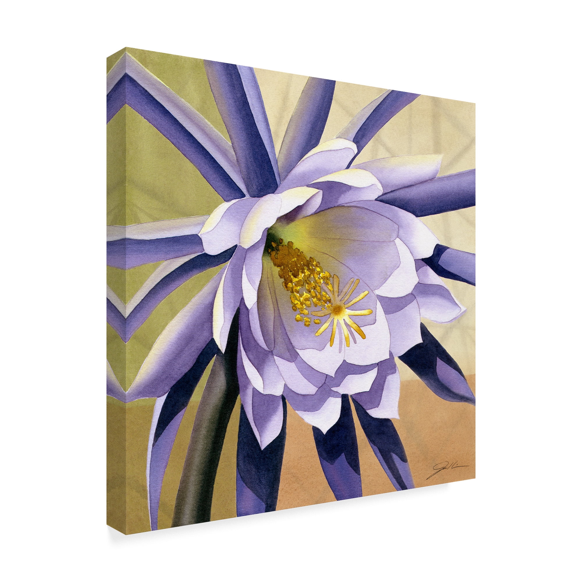 Trademark Fine Art 'Desert Bloom Flower II' Canvas Art by Jason Higby