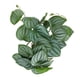 thumbnail image 1 of Hojas Falsas, Reptiles De Plástico Simulación Hojas Decoración 9.8in Color De Hoja Natural Resistente A La Decoloración Con Ventosa Potente Para Tanque De Reptiles, 1 of 8