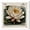 Gallery Wrapped, variant on Postal Bloom II Canvas Print Cute Art Prints by Art Remedy, Black Frame, 12 x 12