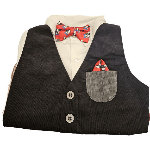 Hudson ferrell boys Pants vest set Frenchie Bulldog tie 3T