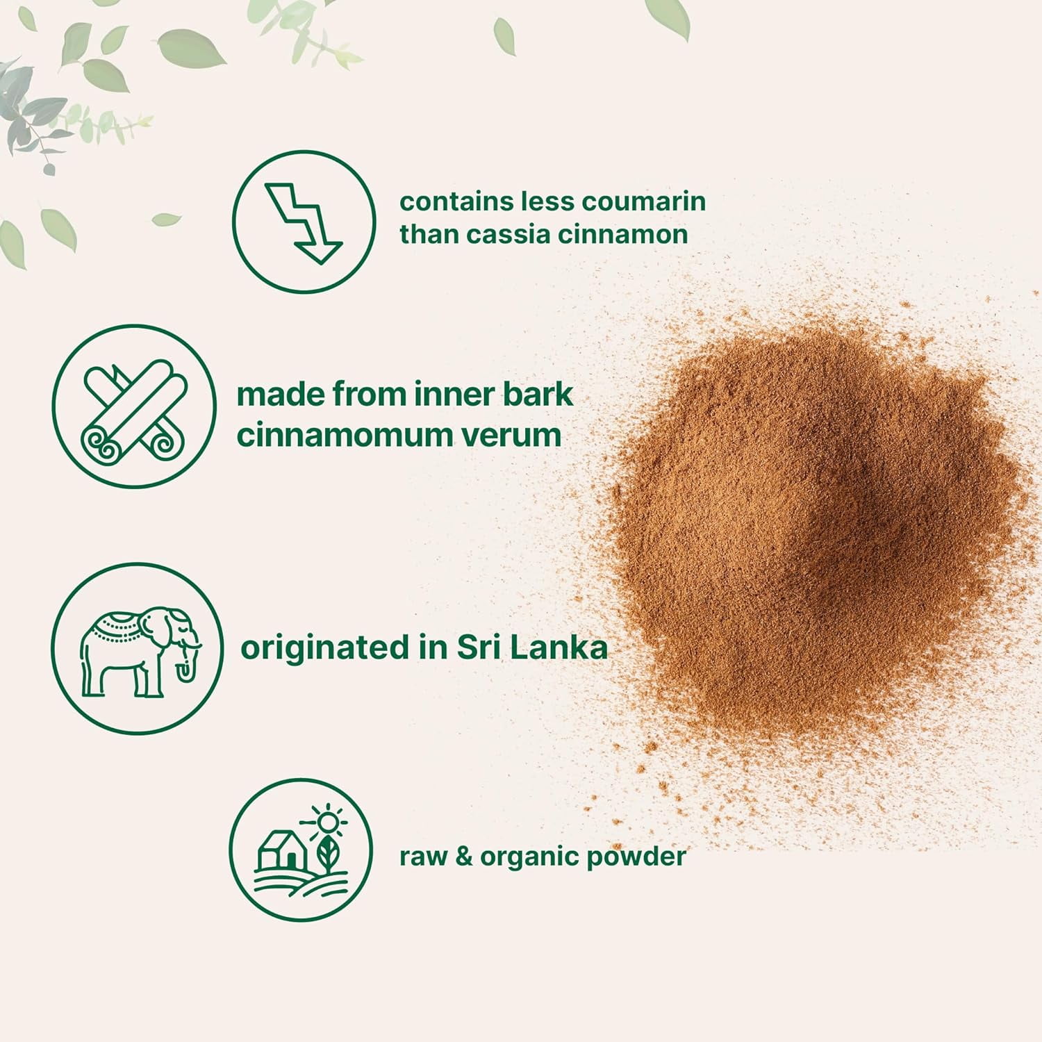 Micro Ingredients Organic Ceylon Cinnamon Powder, 2lb | Premium Sri Lanka Cinnamon for Spice & Seasoning Great for Baking, Cooking & Drinks