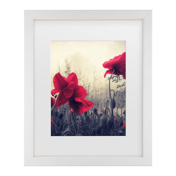 Trademark Fine Art 'Limitless' Canvas Art by Philippe Sainte-Laudy