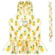 thumbnail image 5 of Dinheiro Conjunto de arnés y correa para perro pequeño, lindo vestido de princesa para cumpleaños, vestidos para perros con estampado de frutas suaves, vestidos para cachorros, ropa para perros, 5 of 7