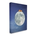 thumbnail image 3 of Stupell Industries Fox Sleeping Night Sky Moon Graphic Art Gallery Wrapped Canvas Print Wall Art, Design by Carrie Ann Grippo-Pike, 3 of 7