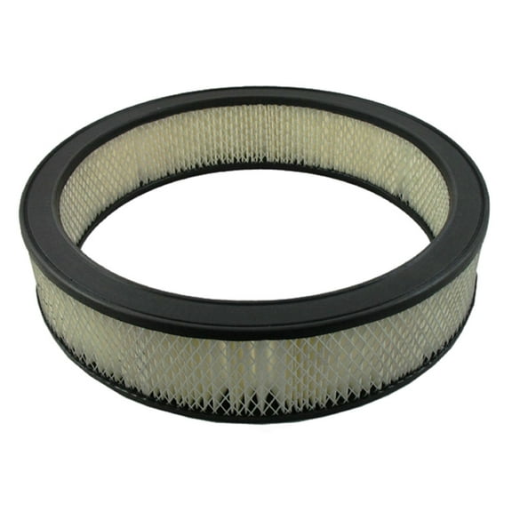 Pentius PAB136 Pentius Filter Fits select: 1967-1970 CHEVROLET CAMARO, 1970 CHEVROLET MALIBU