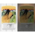 thumbnail image 2 of Caroline's Treasures SS8318CNL Briard Ceramic Night Light, 6x4x3", multicolor, 2 of 2