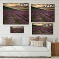 thumbnail image 4 of Designart 'Lavender Field At Sunrise I' Farmhouse Print on Natural Pine Wood, 4 of 5