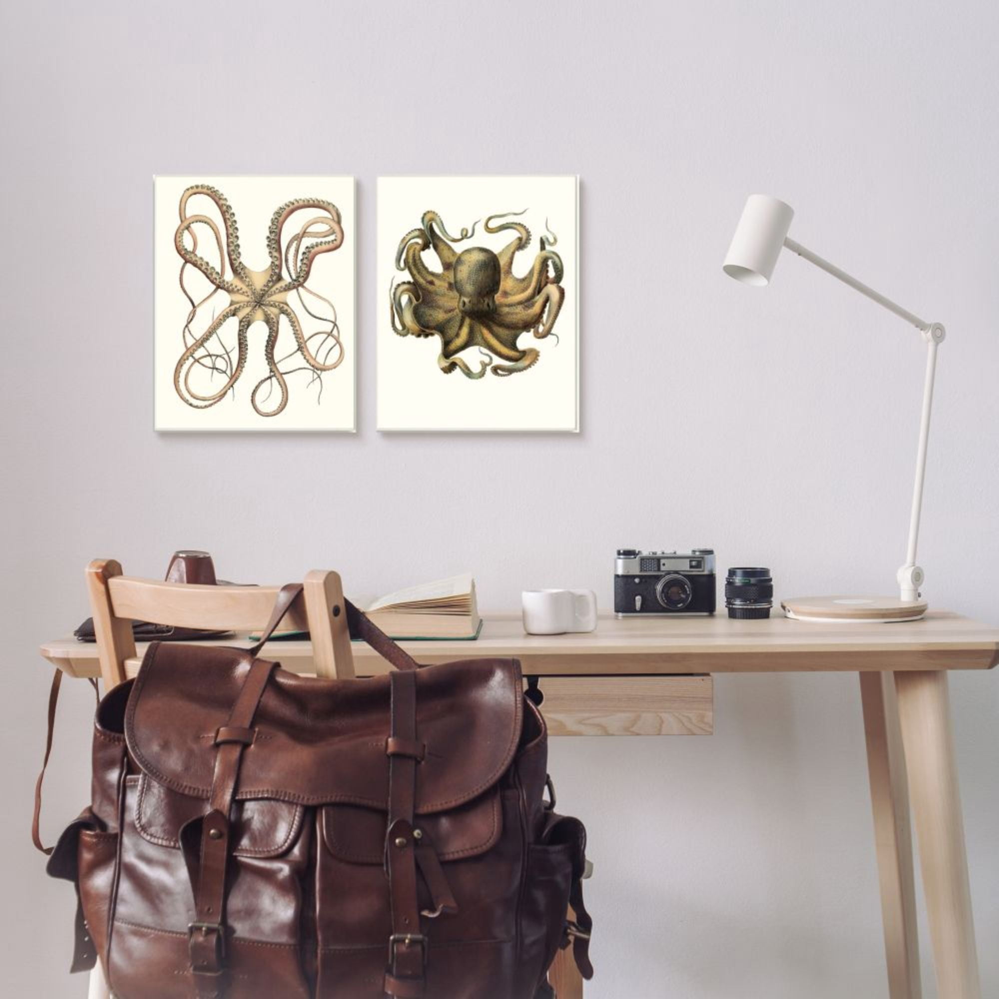 Stupell Industries Vintage Octopus Illustration Curved Tentacles Design by Unknown Artist