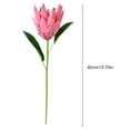 thumbnail image 6 of bestolf Artificial King Protea Flowers Lifelike Tropical Floral Arrangements Faux Protea Cynaroide with Stem for Wedding Centerpiece Home Office Table Decor, 6 of 8