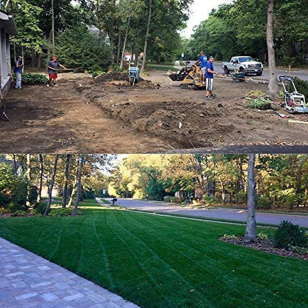 Barenbrug Turf Saver RTF Grass Seed w/Yellow Jacket Coating- Less Water Self-Repairing Tall Fescue Turf for Use on Sports Field, Golf Courses, Parks, Lawns, and Yard (50 LB Bag)