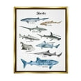 thumbnail image 3 of Stupell Industries Nautical Shark Chart Watercolor Marine Animals Metallic Gold Framed Floating Canvas Wall Art, 16x20, by Ziwei Li, 3 of 5
