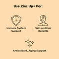 thumbnail image 3 of nbpure Zinc Up+ with Vitamin C Spray, Fruit Punch, 2 oz, 3 of 7