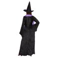 thumbnail image 2 of Wicked Witch Women Costume - Size M/L, 2 of 4