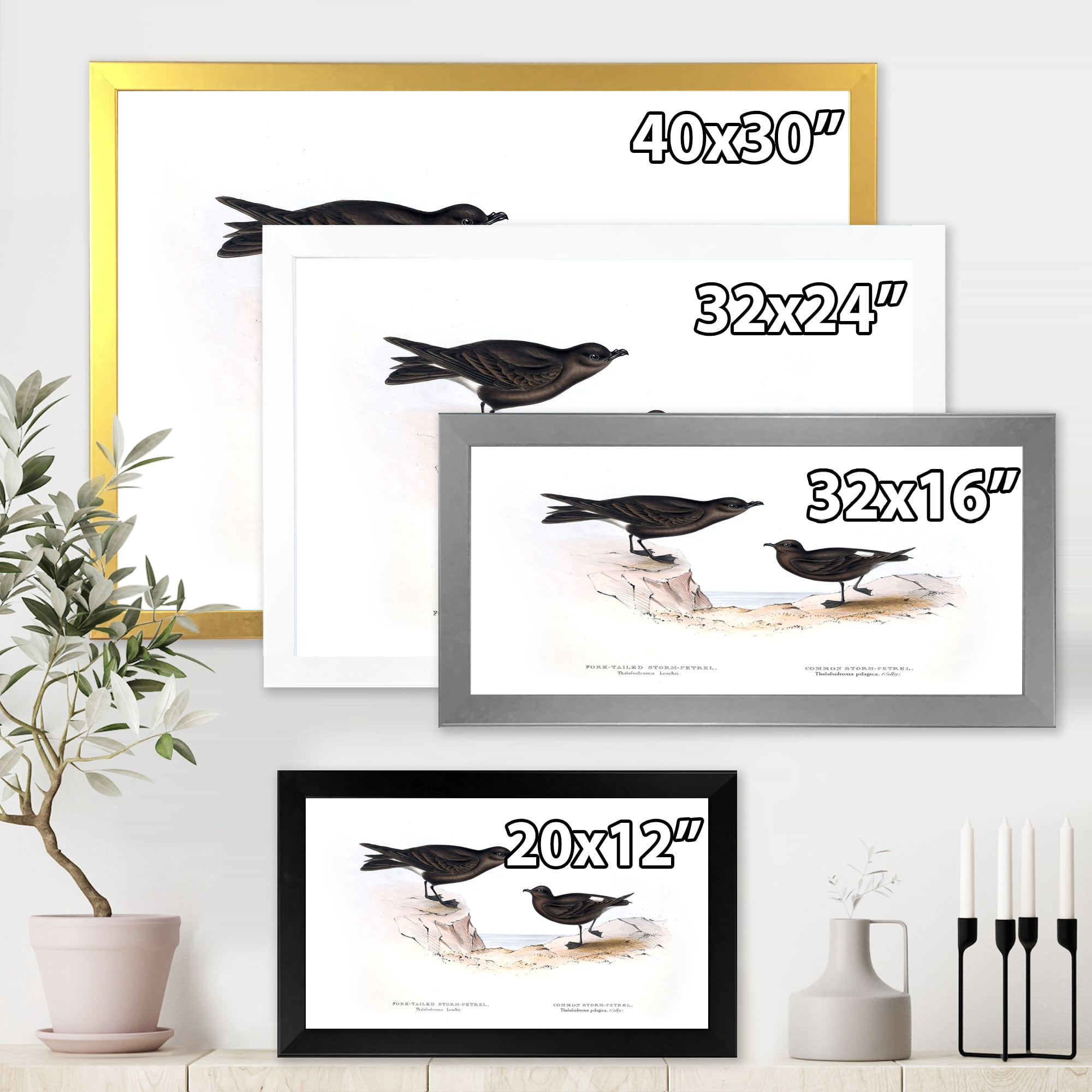Designart 'Ancient Bird Of Europe III' Traditional Framed Art Print