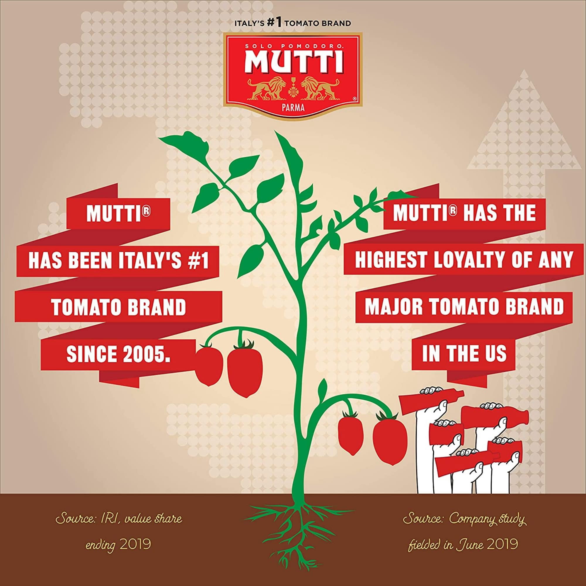 Mutti Organic Tomato Puree, 19.7oz, Pack of 6