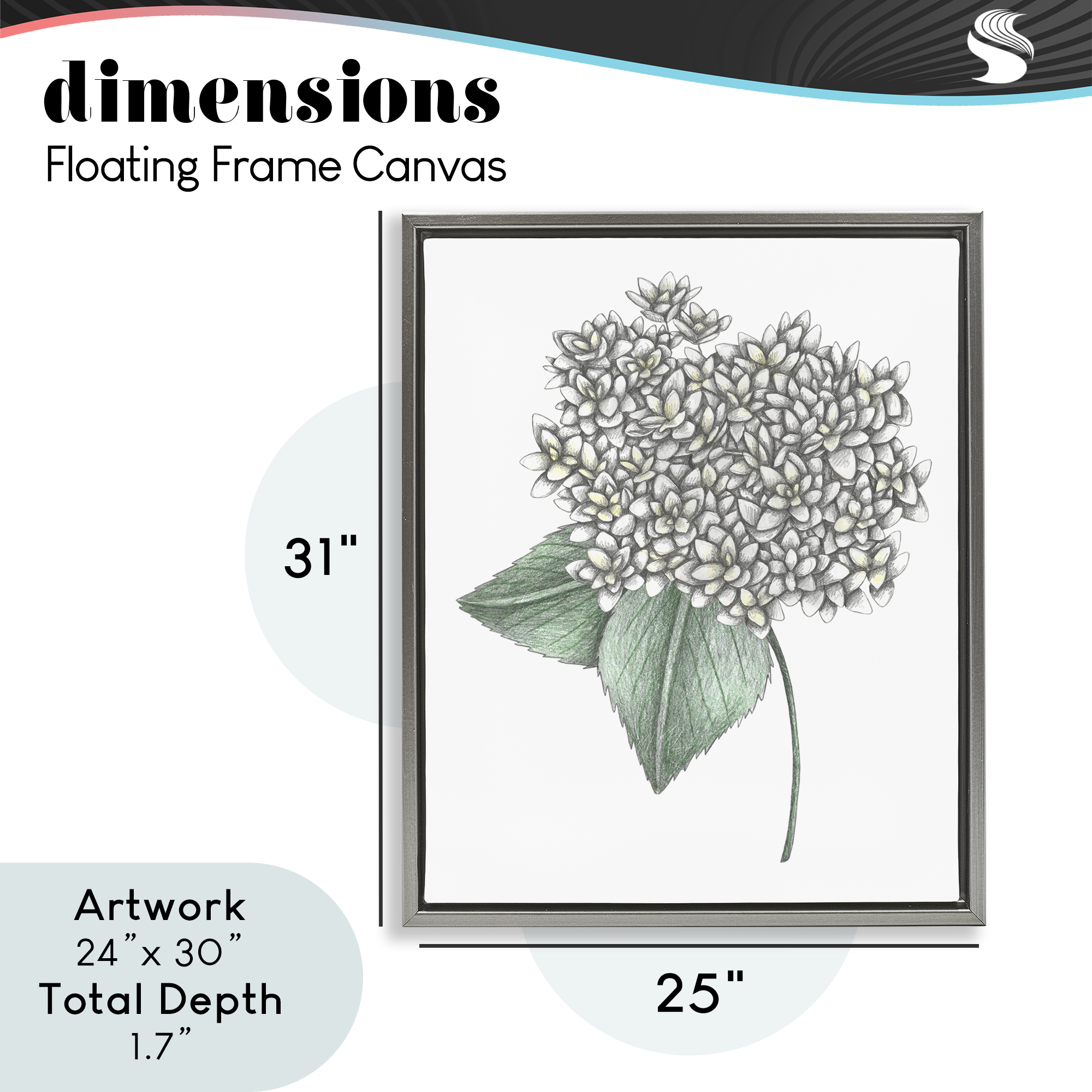 White Hydrangea Sketch Blossom Gray Framed Floater Canvas Wall Art, design by Cecilia Battaini