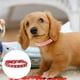 thumbnail image 3 of El collar de perro de cuero de PU es adecuado para perros pequeños, collar de perro pequeño ajustable con diamantes de imitación, 3 of 5