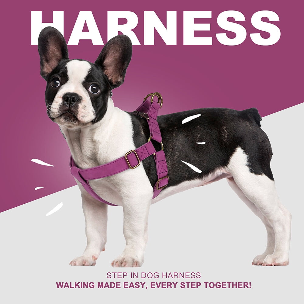 Pet Artist Soft PU Leather Step-in Dog Harness - No Pull Adjustable Vest w/ Brass Buckle, for Small & Medium Breeds