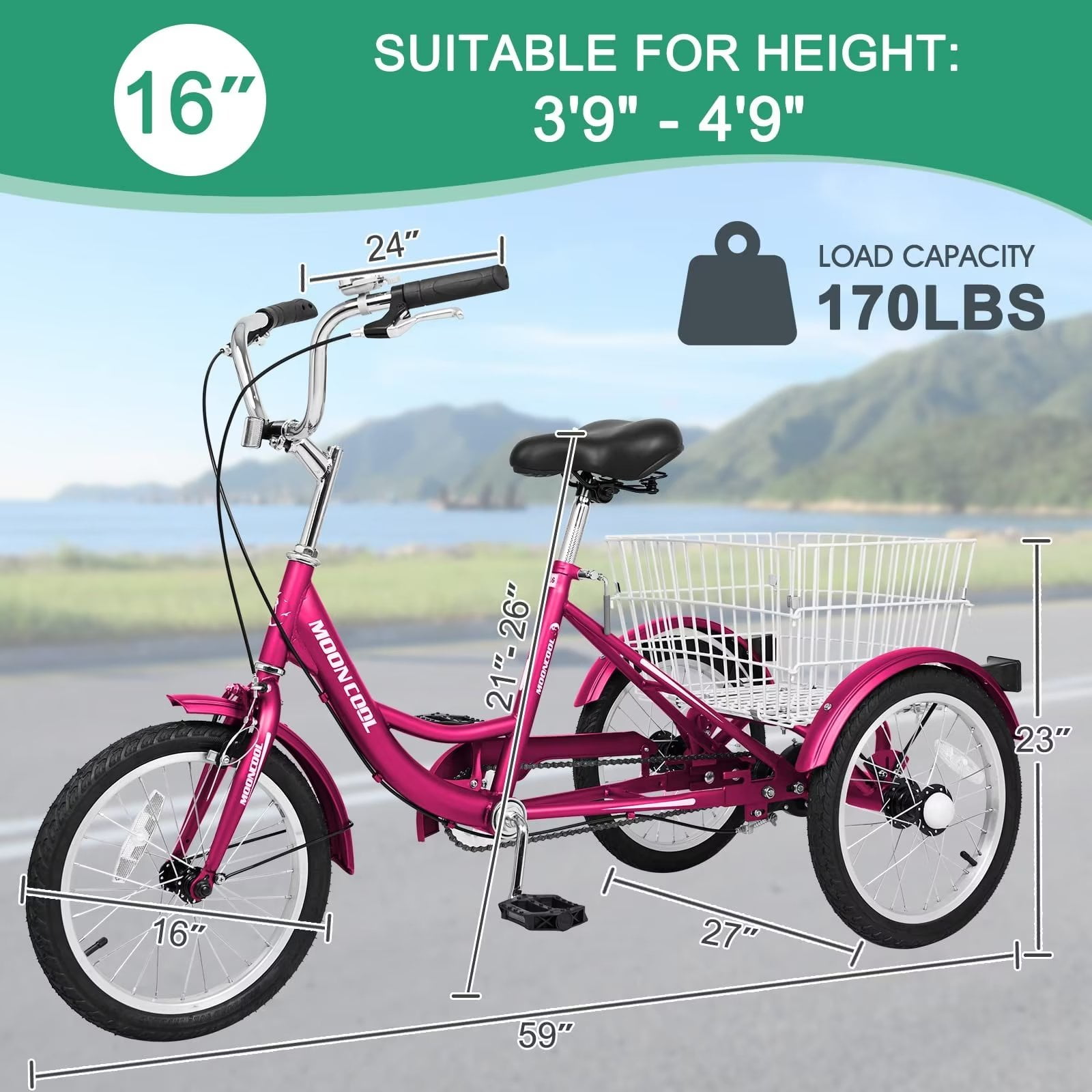 Lilypelle Adult Tricycles 7 Speed 20/24/26 Inch Three Wheel Bike Cruiser Trike with Low-Step Through Frame/Large Basket for Men, Women, Seniors
