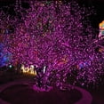 thumbnail image 3 of Christmas Fairy Lights Christmas Tree Fairy Lights, 3M 20 LED Christmas Tree String Lights Decorative Christmas Lights Battery, 3 of 9