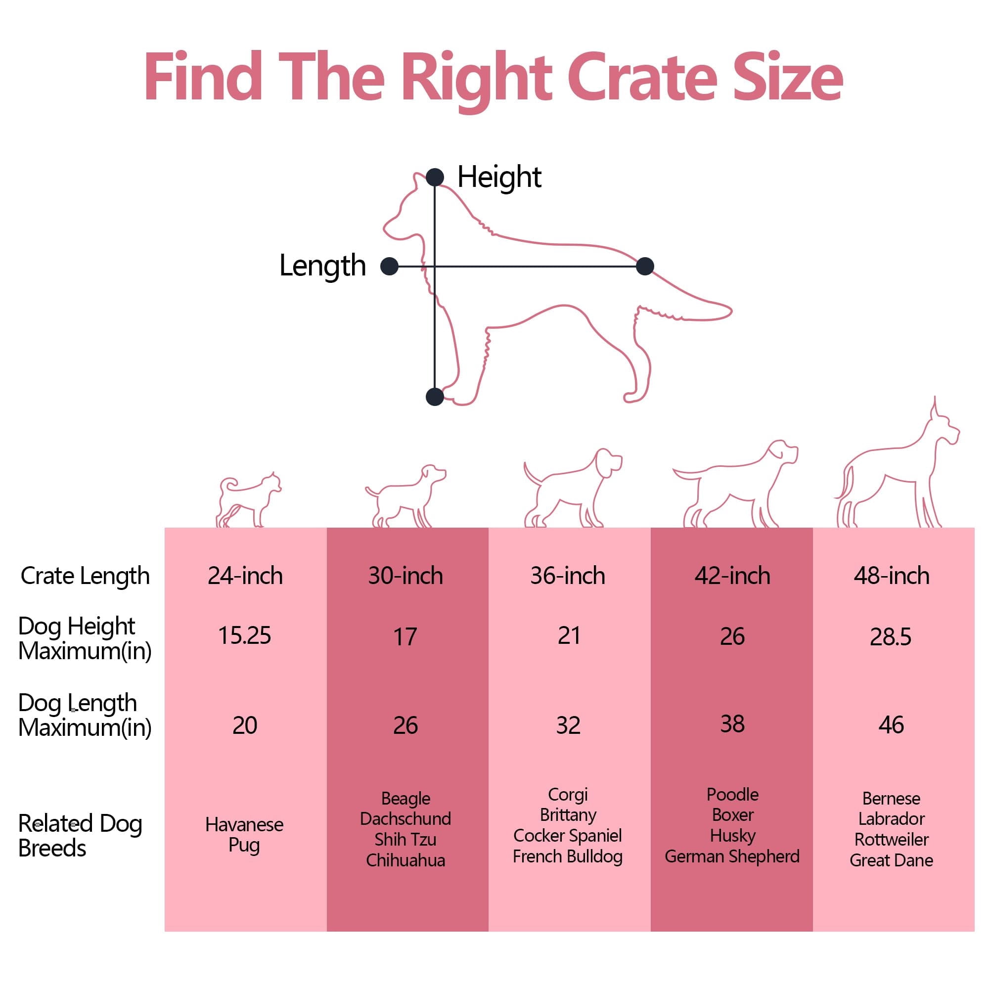 CL.HPAHKL 48 Inch Dog Crates for Large Dogs with Divider, Foldable Metal Wire Dog Crate with Double Door, Locks, Leak-Proof Pan Tray, Handle Metal Dog Kennel for Indoor, Outdoor, Travel, Pink