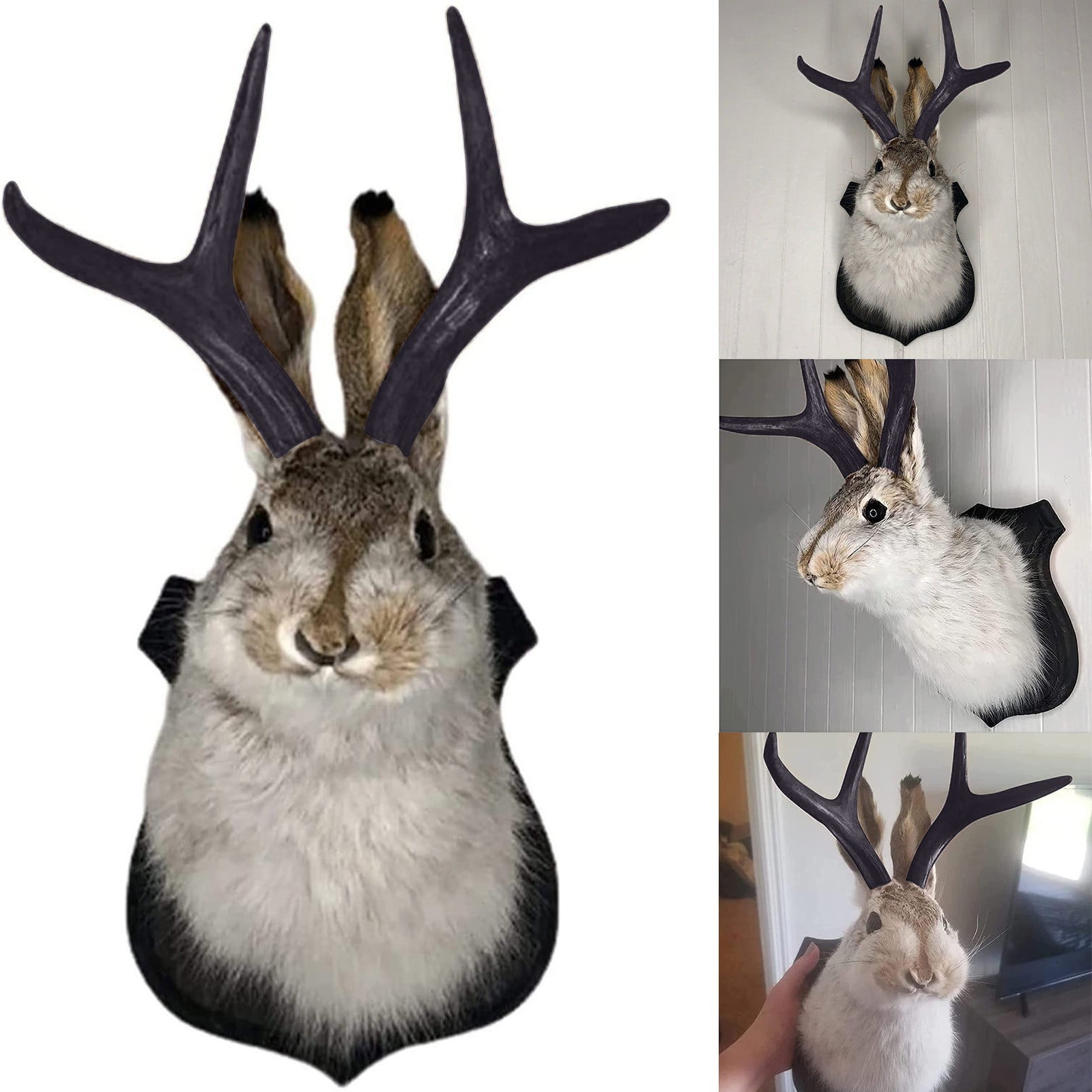 Taxidermy, Head Wall Decor, Deer Head Wall Mount, Deer Head Wall
