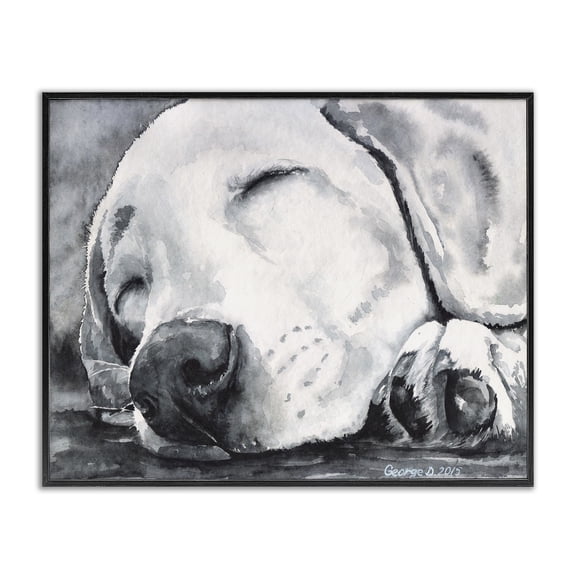 Stupell Industries Traditional Sleepy Dog Pet Animal Watercolor Black Framed Giclee Art, 14 x 11, by George Dyachenko