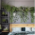 thumbnail image 3 of 25 meters Ivy Garland / Leaf Garland - 2m long, 3 of 5