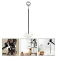 thumbnail image 3 of Support de Sèche-Cheveux pour Animaux de Compagnie Mains Libres pour Chien (Blanc), 3 of 7