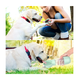 thumbnail image 4 of Bebedero Portátil Para Mascotas Malubero VERDE TRANSPARENTE, 4 of 5