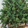 thumbnail image 6 of HomeDM 12PCS Velvet Christmas Balls Ornaments Green 6cm/2.36" Flocked Balls Christmas Tree Decorations Shatterproof Hanging Pendant for Xmas Tree Holiday Home Decor, 6 of 6