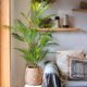 thumbnail image 4 of Palmera Artificial grande de 125cm, rama de plantas tropicales, hojas falsas de plástico, Monstera verde para decoración de Navidad, jardín y habitación del hogar, 4 of 4