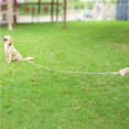 thumbnail image 4 of Correa Funcional Para Entrenamiento De Perros, Correa Con Hebillas, Correa Larga De Nailon, Correa Resistente Para Perros, Correa Firme Para Perros Para Mascotas Sweethay PT001126-00, 4 of 7